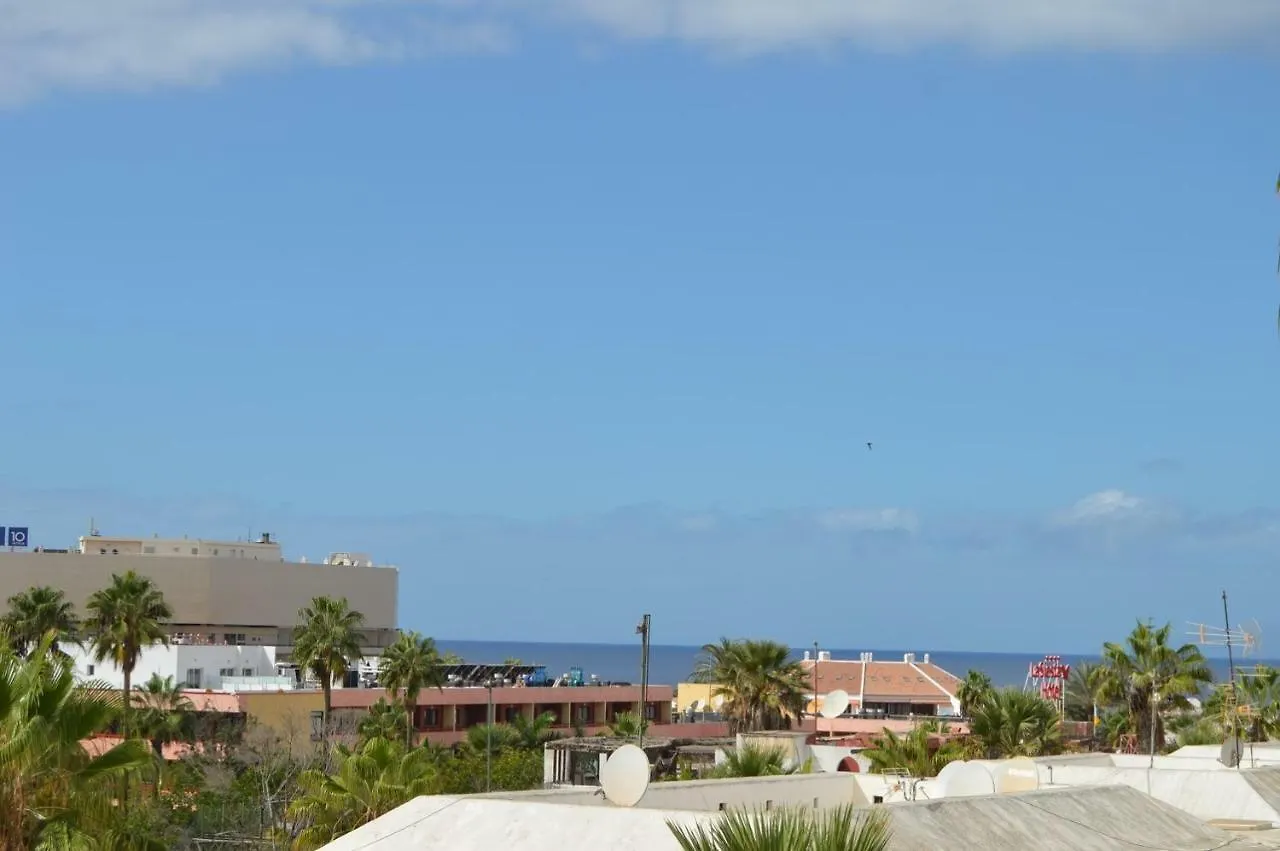 Playa De Las Americas Apartamento Playa de las Americas (Tenerife)